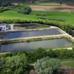 Rozwinięcie sztuki sprzedaży wózków widłowych: Wspieranie branż efektywnymi rozwiązaniami do przenoszenia materiałów