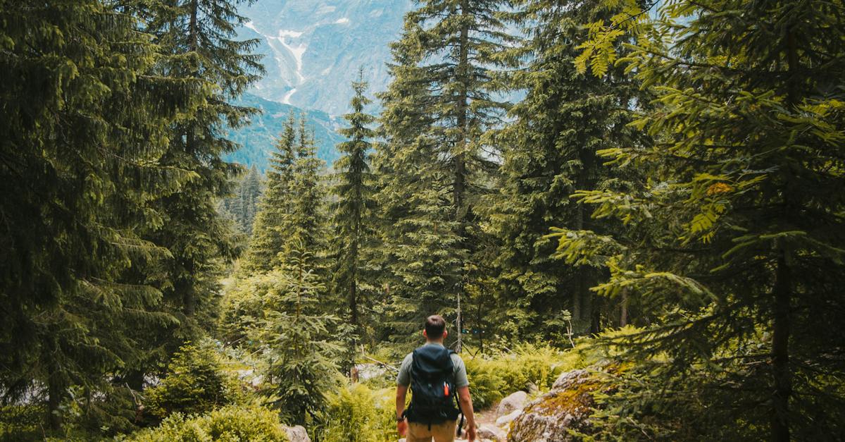 Szczególne wyróżnienia dla nauczycieli w placówkach ochrony dzieci i młodzieży