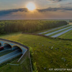 BOM: 35. rocznica uchwalenia Konwencji o Prawach Dziecka. Zapowiedź (komunikat)